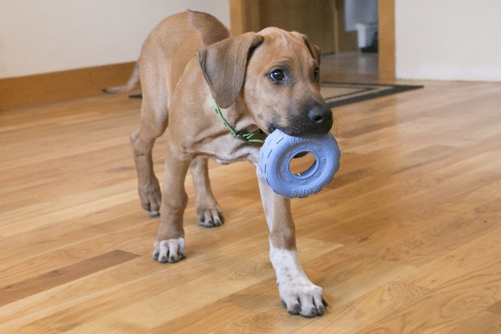 Large dog tire clearance toy